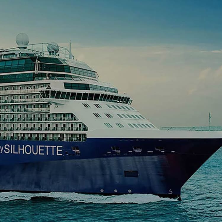 Celebrity Silhouette